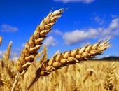 ����� ��������� ������� �������