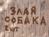 Россиян предупредили о штрафах за ссоры с соседями в интернете