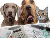 � ������ ������ ���� ���������� �� ������ �� �������� ��������