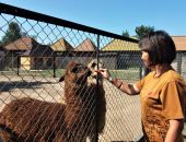 �������� ������ �������� ������ �������� � ������������ ��������