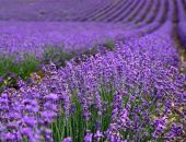 ��� ���� � ���� ���� � �������� � ����� � ������� ���� 16 ����