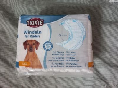 � ������ ������� ������ ��������� � ����������� �� �������������� �����