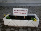 В Керчи поймали женщину, которая воровала растения с клумб 