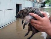 ��� ���� � ���� ���� � �������� � ����� � ������� ���� 21 ����