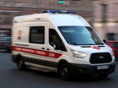 ������� ������������ � �����: �� 29 ���� ��������  24 ��������