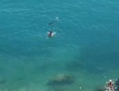 � ����� �� ����� ������� �����, ������������ �����