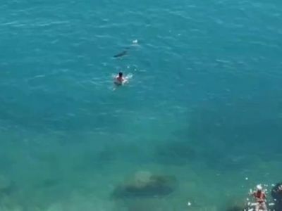 � ����� �� ����� ������� �����, ������������ �����