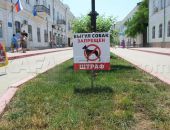 ��� ���� � ���� ���� � �������� � ����� � ������� ���� 12 ����