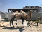 ��� ���� � ���� ���� � �������� � ����� � ������� ���� 14 ����