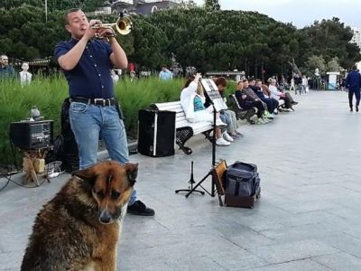 � ���� � ������� ���������� ������� �����������