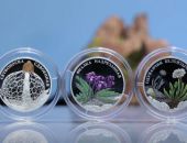 ���� ������ �������� ������ � ������������ ������������� ������