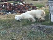 � ������ ����� ������� ��������� ������ ��������