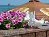 ��� ���� � ���� ���� � �������� � ����� � ������� ���� 22 ����