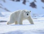 ��������� ����� ��������� ��������� �� ������� � ������� ����