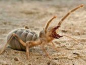 ��� ���� � ���� ���� � �������� � ����� � ������� ���� 26 ����