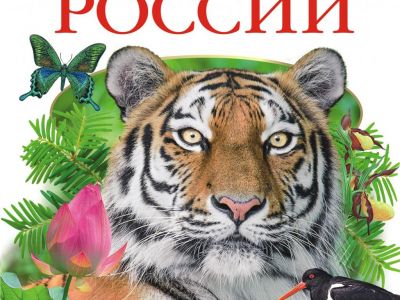 ����� 160 ����� � �������� �������� ��������� � ������� �����