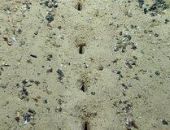 �� ��� �������������� ������ ����� ���������� ���������