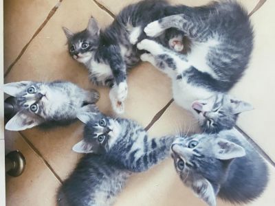 ��������: �������� � ������� ������� � ������ � ������������ ����!