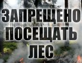 В Крыму продлили запрет на посещение лесов