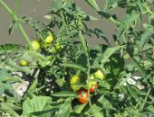 ��� ���� � ���� ���� � �������� � ����� � ������� ���� 7 �������