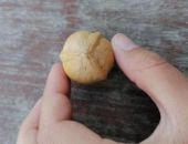 � ������ ������� �������� ������� ���� �� 20 ��������� ������