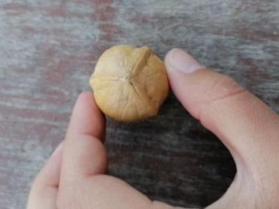 � ������ ������� �������� ������� ���� �� 20 ��������� ������