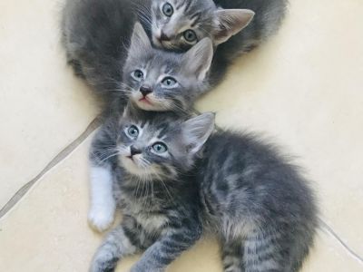 ������ � ������ ����