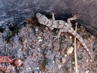� ������ ������� ������ �������� ������