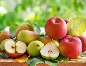 � ������ ��������� ����������� ������� � �������� � �����