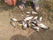 ��� ���� � ���� ���� � �������� � ����� � ������� ���� 17 �������