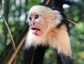 �������� ������� � ������� �������