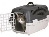 � ������� ������ ���������� �������� ������� ��������� ��������