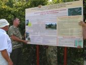 В Крыму открыли новый дендропарк