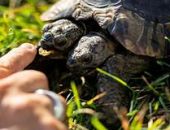 � ����� 25-����� ����� ������ ����������� �������� �������� ���������