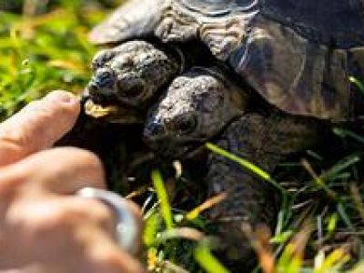 � ����� 25-����� ����� ������ ����������� �������� �������� ���������