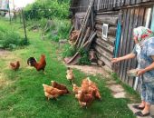 ���������� ������ ��������� � ������ ���������� ��� �� ����� 