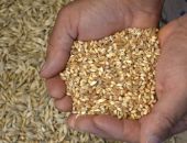 � ������ ���� ��� ���������� ������: ��� �����