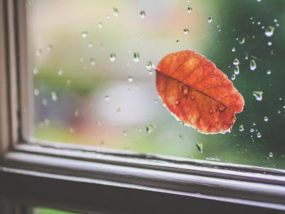� ��� ������� ������� ��������