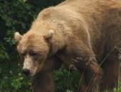 �� �������� ������� ������ ������