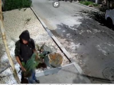 5 ��� � ������ �� ����� 8 ������ ������������� � �����������
