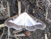 ��������, ������� �� �������!