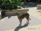 ��� ���� � ���� ���� � �������� � ����� � ������� ���� 24 �������