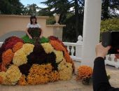 Платье королевы осени можно примерить в Крыму: появилась фотозона для Бала хризантем 2022