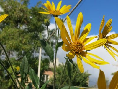 ����� ��������: ��� �� �������, ��� ����� �������
