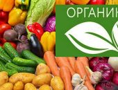 � ������ ��������������� ������ �������������������� ��� �� ��������� 