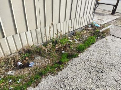 ������� ��������: ���������� �����, ��������, ������� ����������