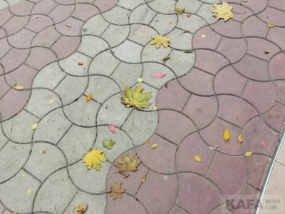 ������� ��������: ���������� �����, ��������, ������� ����������
