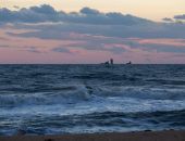 � ��������� ���� ������� - �������� � ������� ����