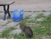 ������ �����: ��� ��������. �����!