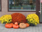 �������� ��-�����������